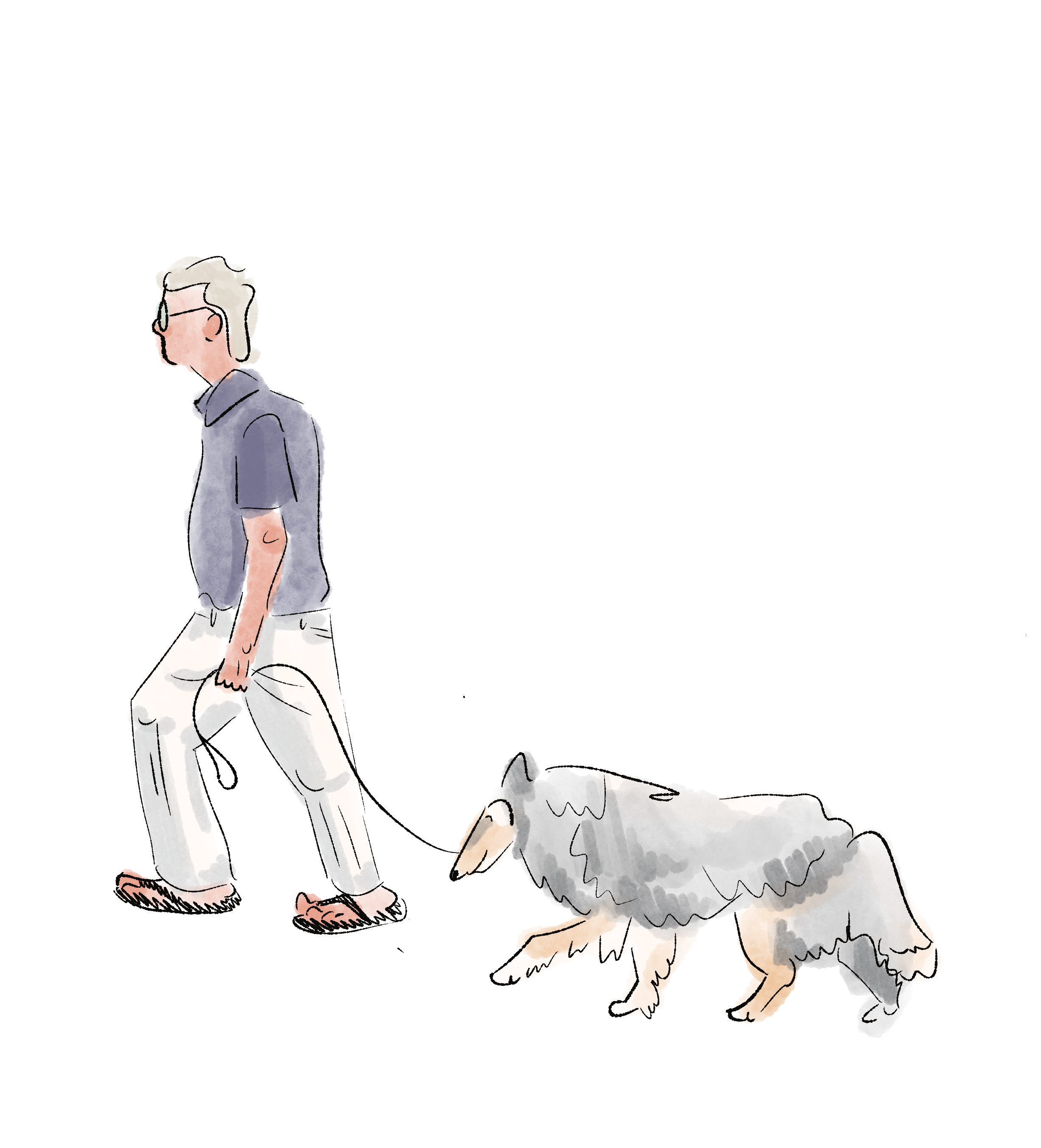 A man in flip flops walking with a Collie dog